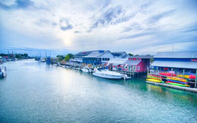 Moving to Mount Pleasant, South Carolina: Helpful Local Resources for Lowcountry Homeowners